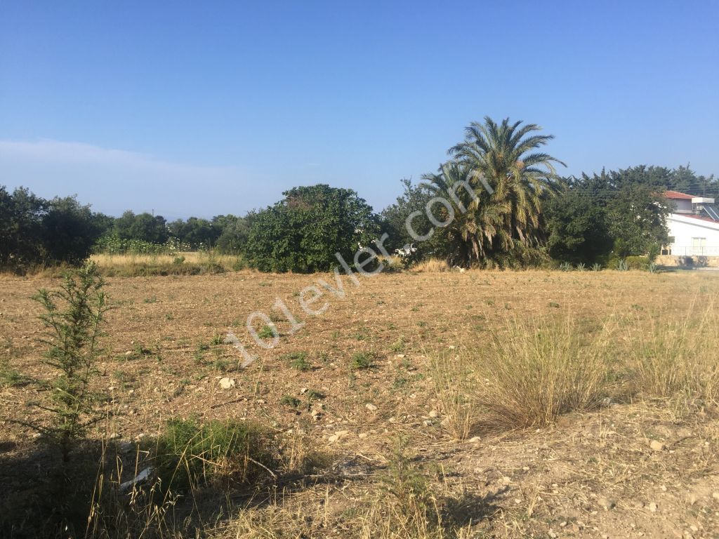 A BUILDING PLOT in  KYRENIA , Karşıyaka village : Contact : Doğan Boransel 0533-8671911