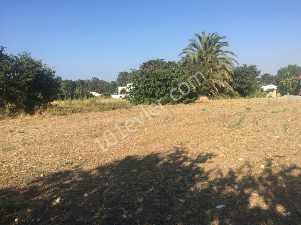 A BUILDING PLOT in  KYRENIA , Karşıyaka village : Contact : Doğan Boransel 0533-8671911