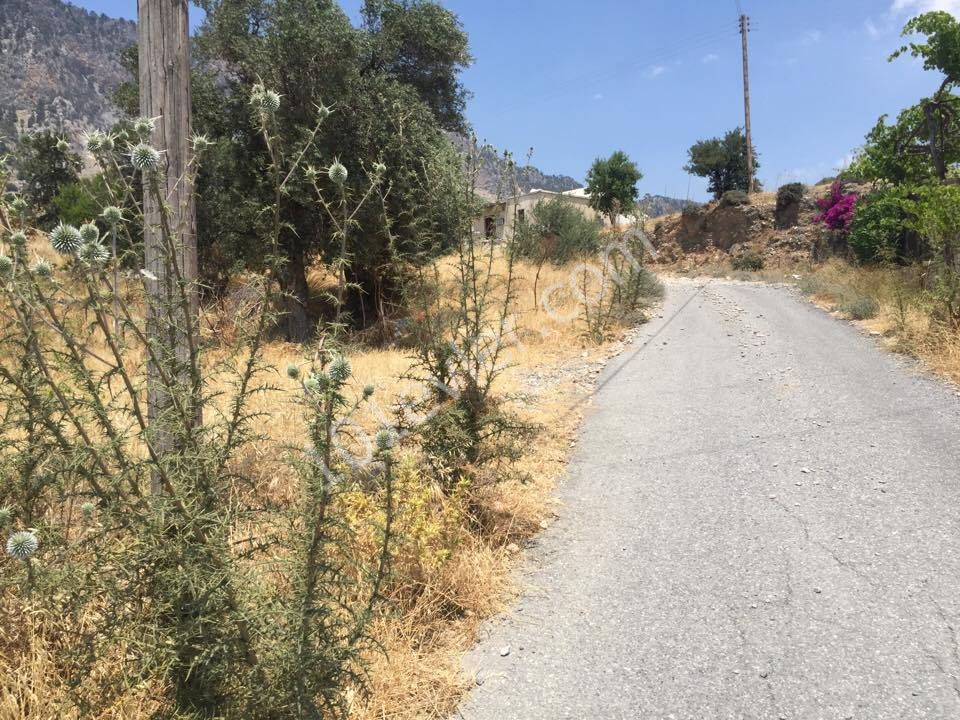 KYRENIA AKCICEK AREA LAND WITH OUTSTANDING VIEWS NEAR THE FOREST LAND- OPEN TO BUILD FASIL 96 LAW-  BROKER : DOĞAN BORANSEL 0533-8671911