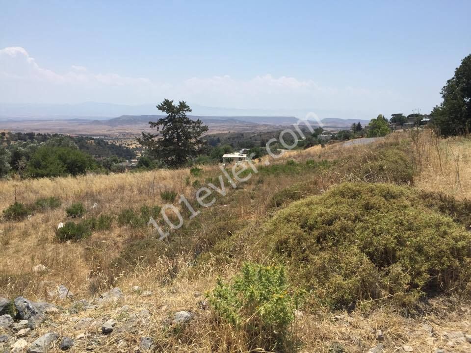 KYRENIA AKCICEK AREA LAND WITH OUTSTANDING VIEWS NEAR THE FOREST LAND- OPEN TO BUILD FASIL 96 LAW-  BROKER : DOĞAN BORANSEL 0533-8671911