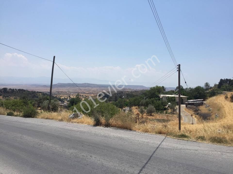 KYRENIA AKCICEK AREA LAND WITH OUTSTANDING VIEWS NEAR THE FOREST LAND- OPEN TO BUILD FASIL 96 LAW-  BROKER : DOĞAN BORANSEL 0533-8671911