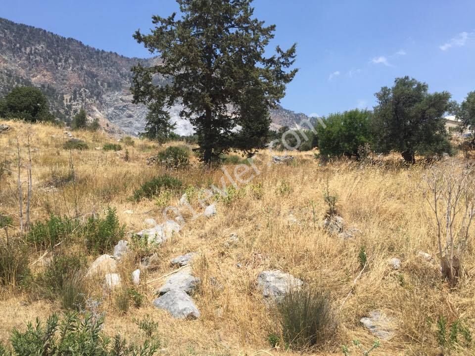 KYRENIA AKCICEK AREA LAND WITH OUTSTANDING VIEWS NEAR THE FOREST LAND- OPEN TO BUILD FASIL 96 LAW-  BROKER : DOĞAN BORANSEL 0533-8671911