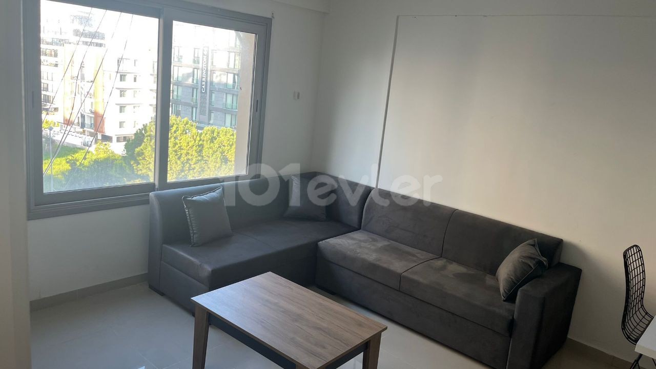 A COSY and stylish 1 +1 Apartment For Rent Near Town center