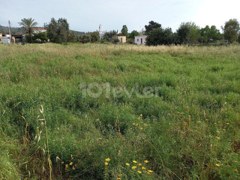 In Sipahi, innerhalb des Dorfes, stehen 5 Hektar zur Bebauung offenes Grundstück mit einem alten Haus, Strom, Straße und Wasser, Oliven- und Mandelbäumen sowie einem Brunnen zum Verkauf, das für alle Arten von Investitionen geeignet ist.