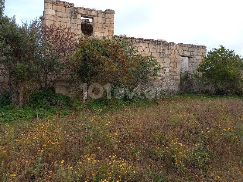 In Sipahi, on the side of the main road in the village, open to development without electricity and water problems, facing the sea is for sale.