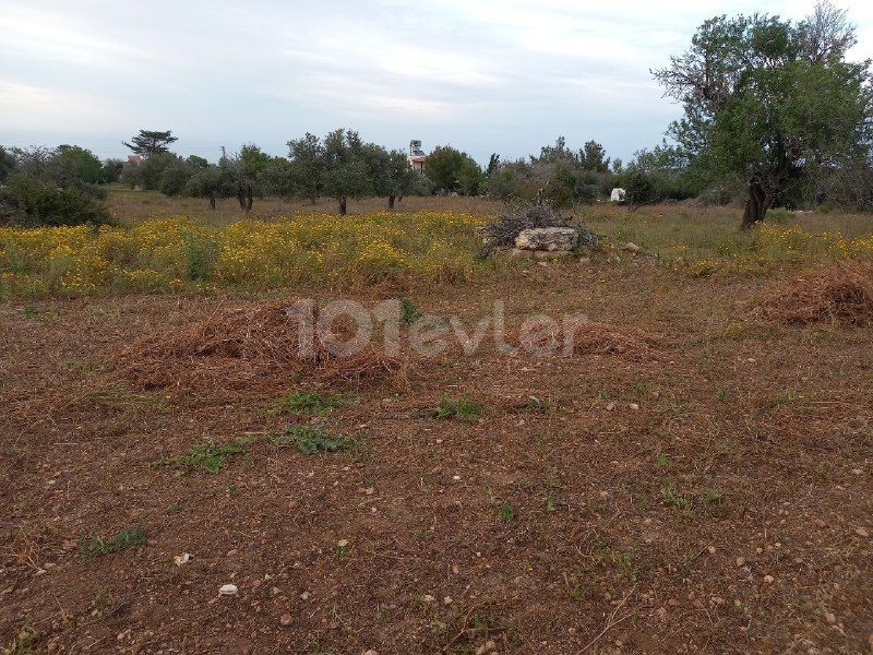 In Sipahi, on the side of the main road in the village, open to development without electricity and water problems, facing the sea is for sale.