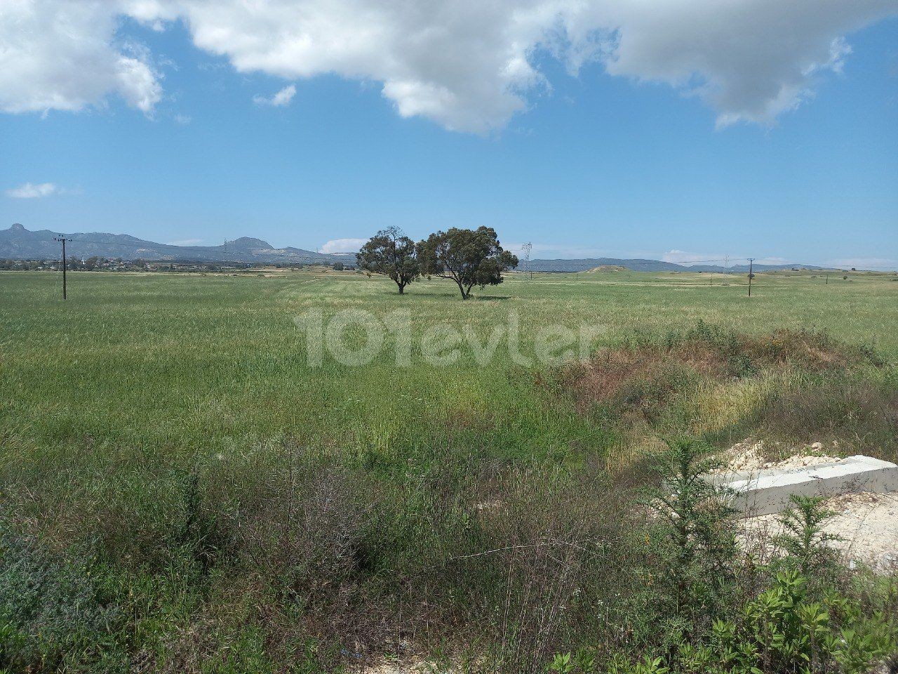 In Çayırova, by the Karpaz highway, 22 acres of land with electricity, open to zoning, suitable for all kinds of investment is for sale.  40.000 pounds per acre. 