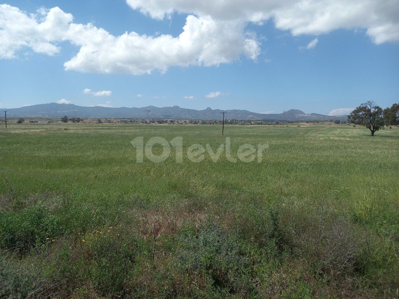 In Çayırova, by the Karpaz highway, 22 acres of land with electricity, open to zoning, suitable for all kinds of investment is for sale.  40.000 pounds per acre. 
