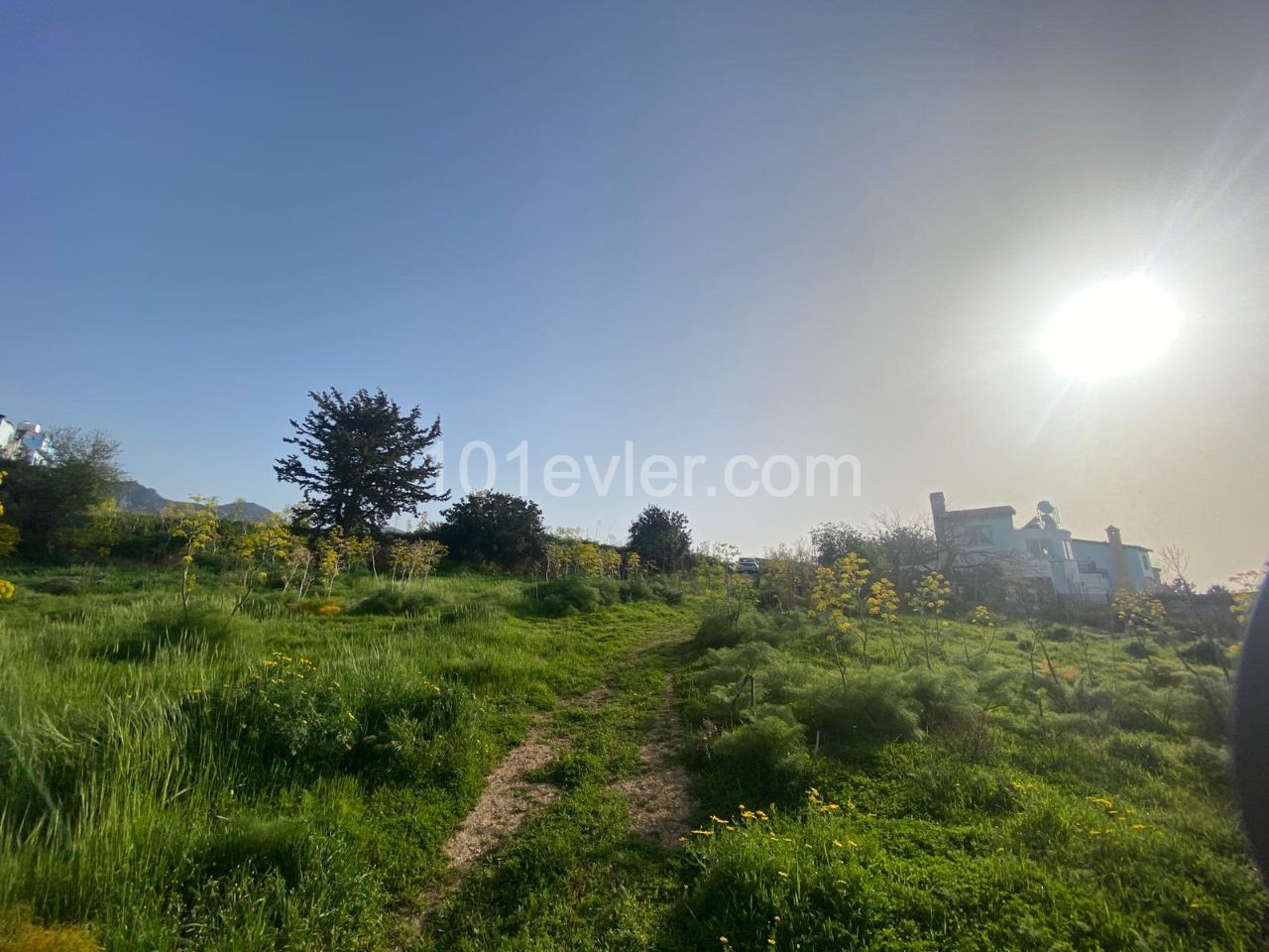 1 Hektar Land Zum Verkauf In Kyrenia Esentepede Dorf 44000 Stg ** 