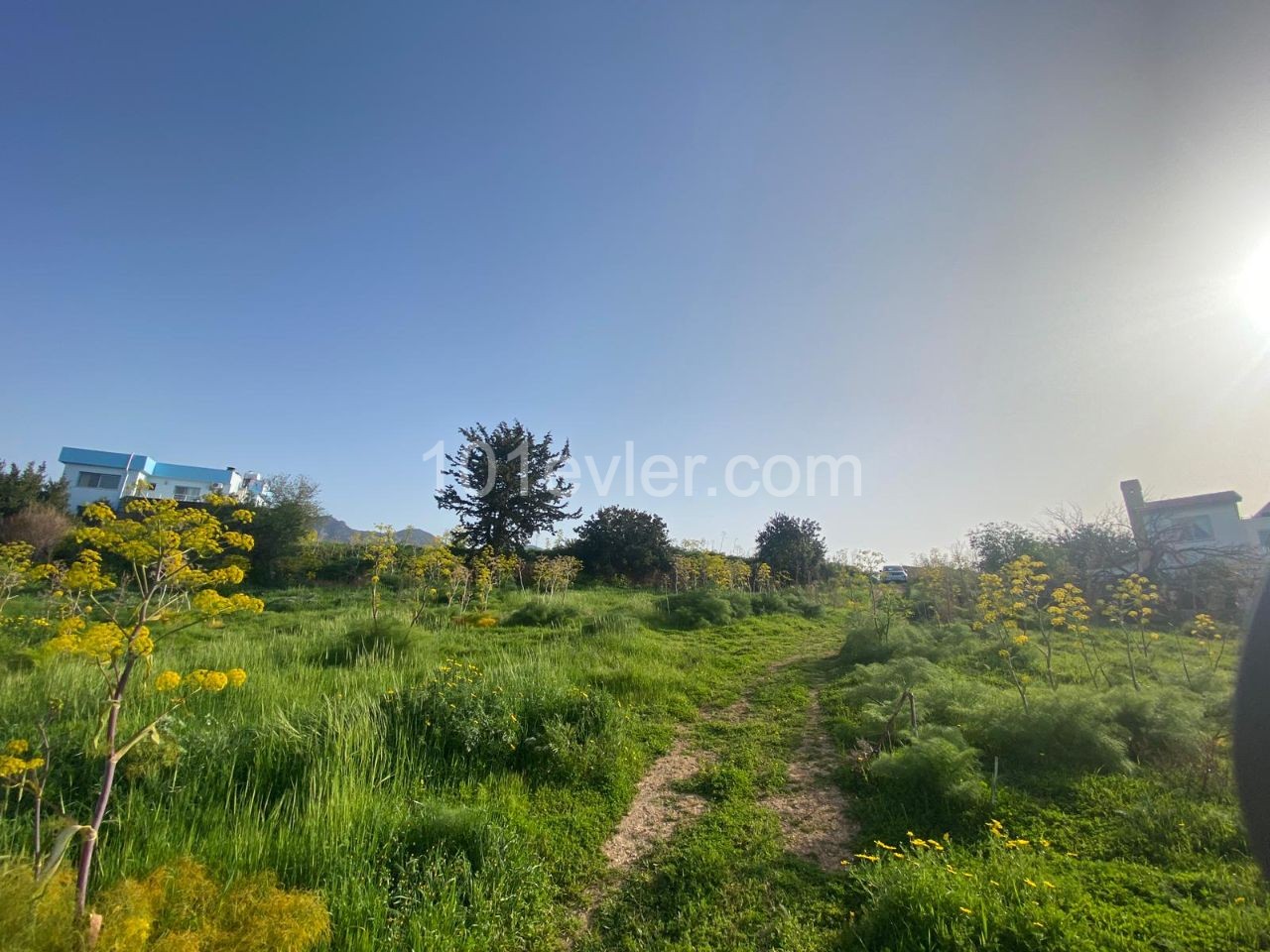 1 Hektar Land Zum Verkauf In Kyrenia Esentepede Dorf 44000 Stg ** 