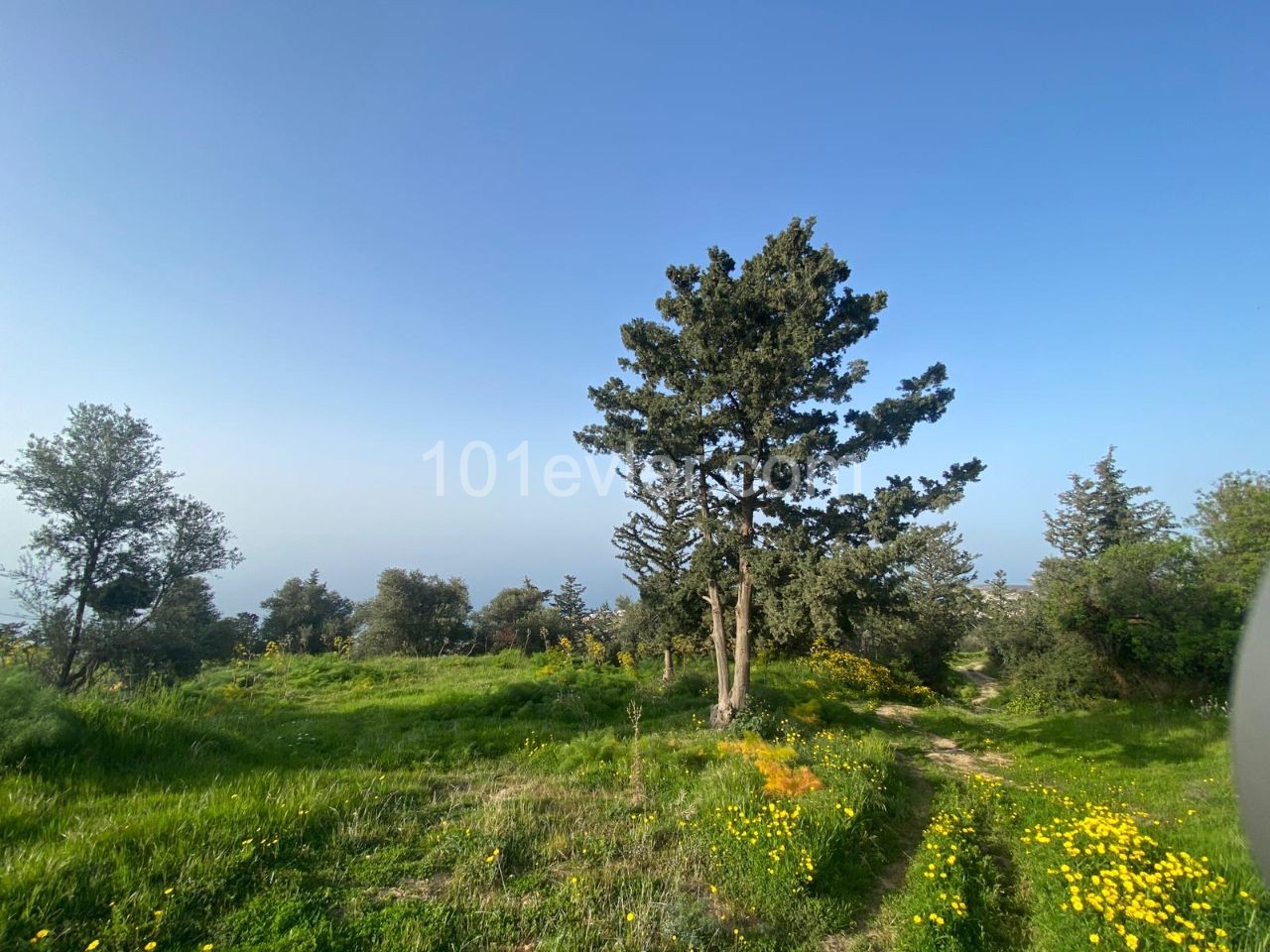 1 Hektar Land Zum Verkauf In Kyrenia Esentepede Dorf 44000 Stg ** 