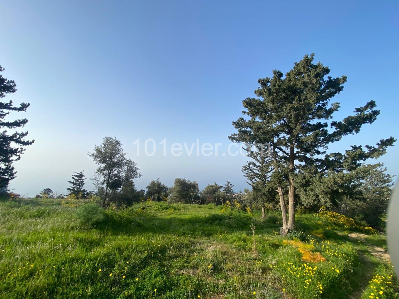 1 Hektar Land Zum Verkauf In Kyrenia Esentepede Dorf 44000 Stg ** 