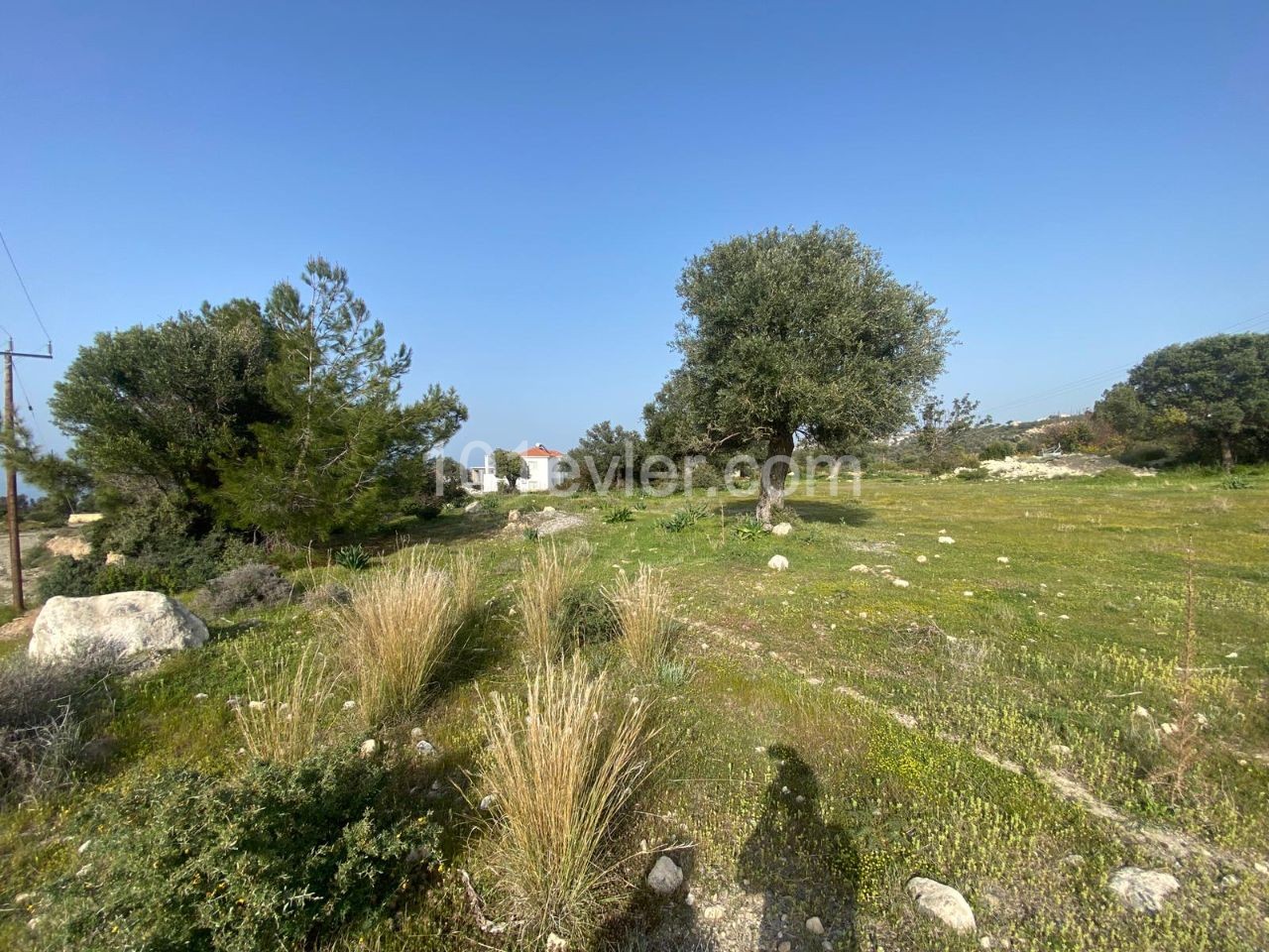 Kyrenia Esentepede 2 Hektar 1 Haus Zu Verkaufen Land 115000 Stg ** 