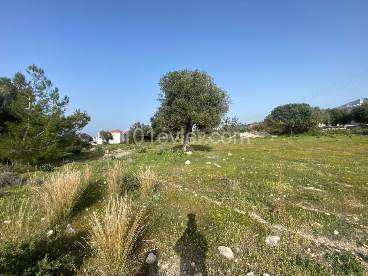 2 Acres of 1 Evlek Land For Sale In Girne Esentepe 115000 Stg ** 