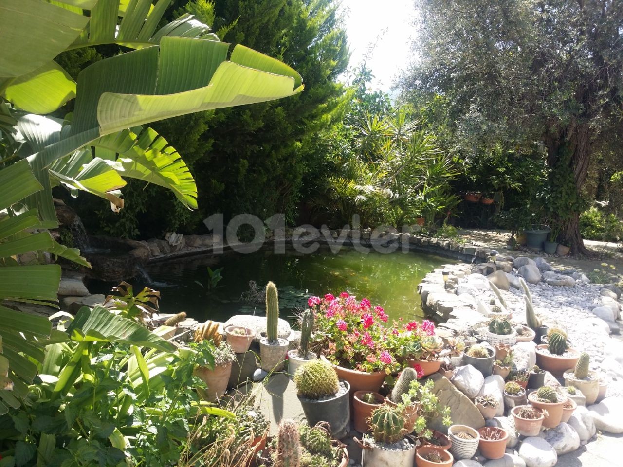 Land For Sale With Commercial Value On The Main Road In Girne Çatalköy ** 