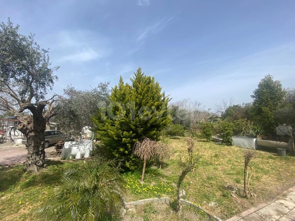 Land For Sale With Commercial Value On The Main Road In Girne Çatalköy ** 