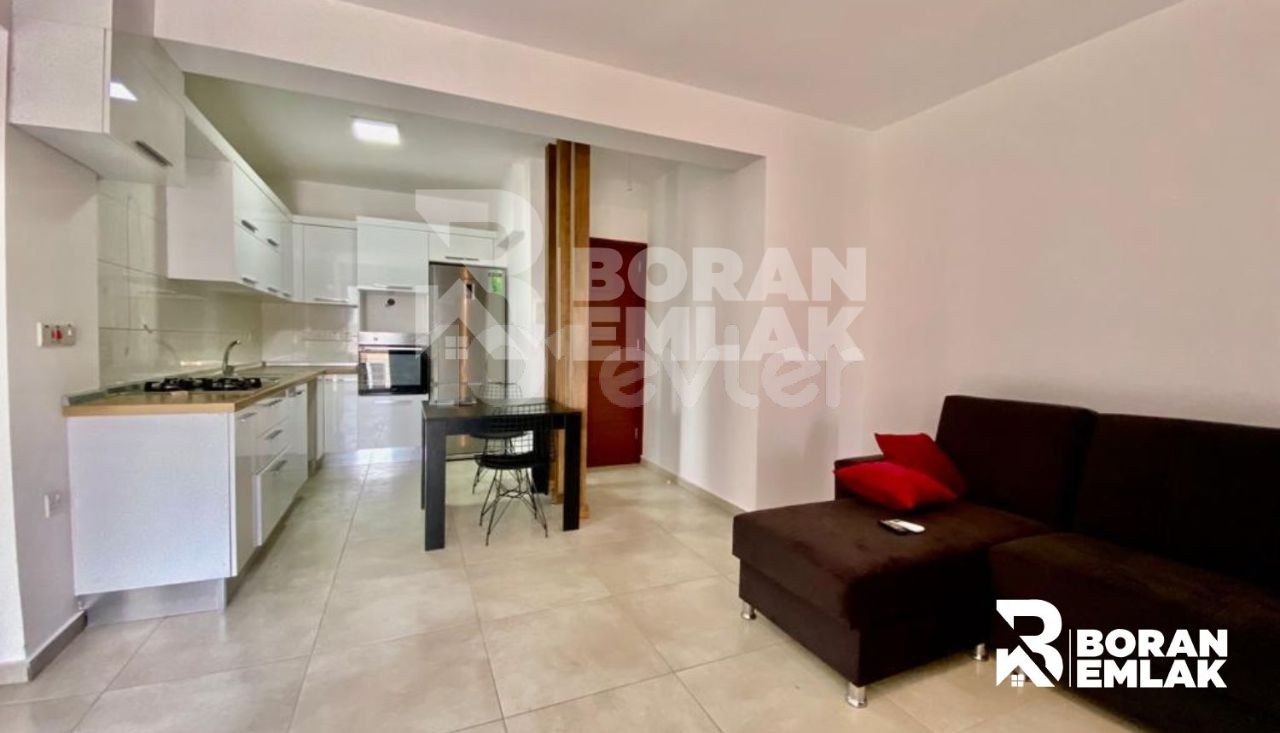 2+1 Apartment for Rent in the Kucuk Kaymakli, Nicosia 350 GBP