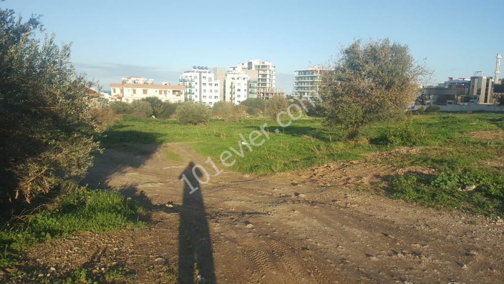 منطقه مسکونی برای فروش in Girne Merkez, گیرنه