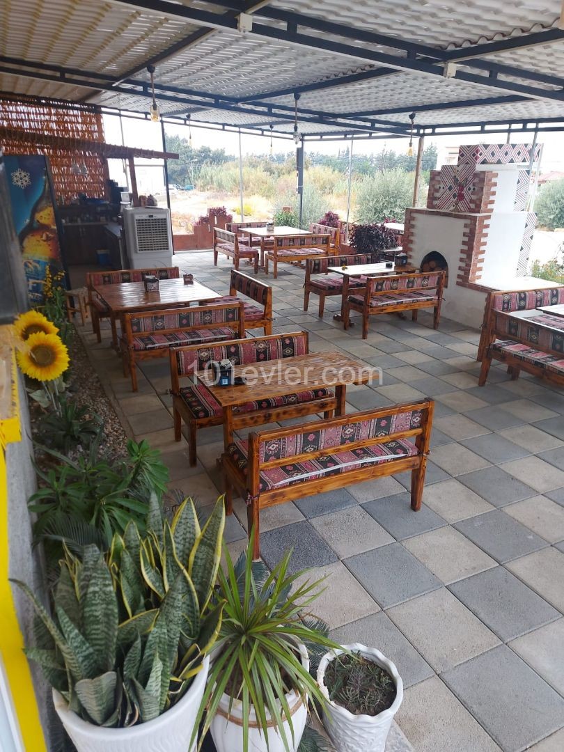  Kiralık Cafe & Restorant veya Ofis