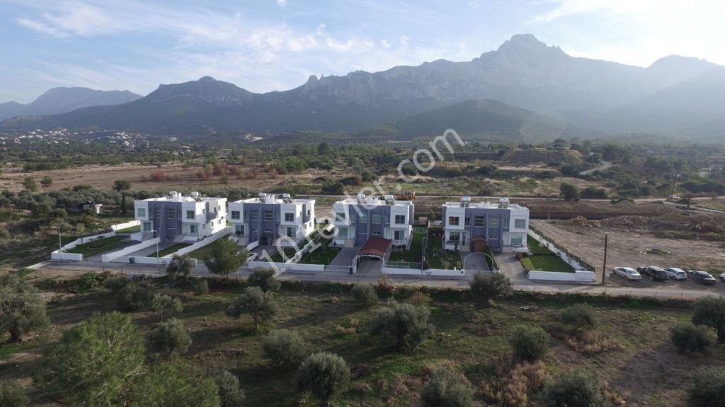 Zeytinlikte Mühteşem Deniz Manzaralı Villa