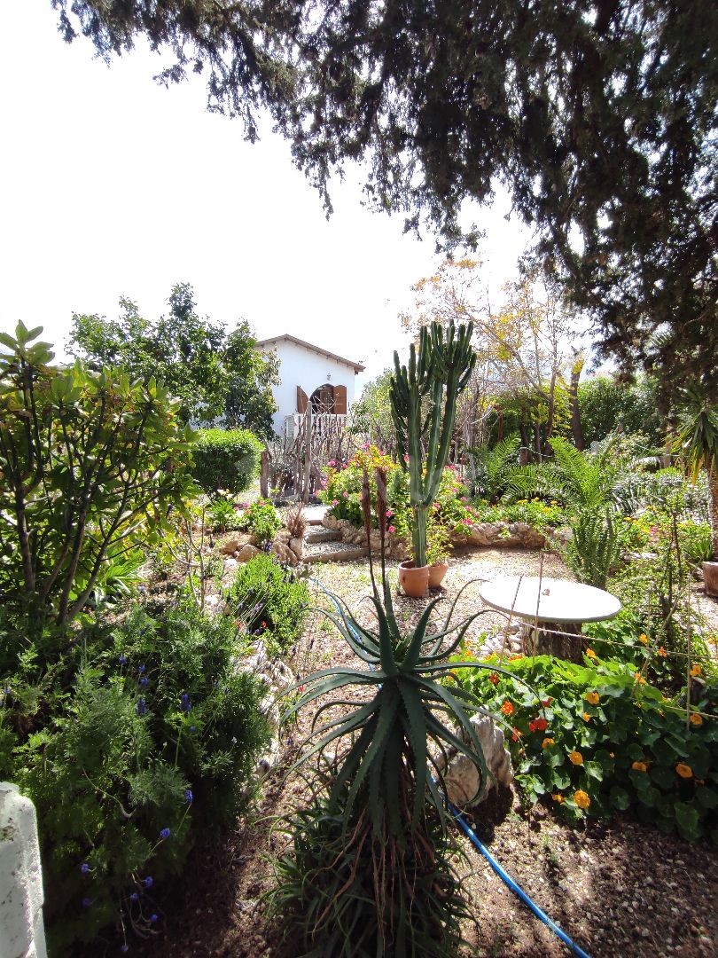 A Villa with a Botanical Garden, A Work of Art! ** 