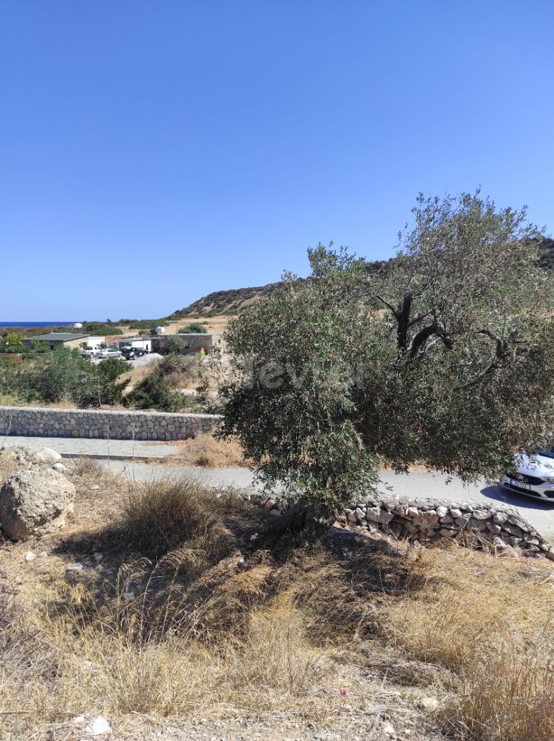 Villa Land within Walking Distance to Caretta Beach with Unstoppable Views in Alagadi ** 