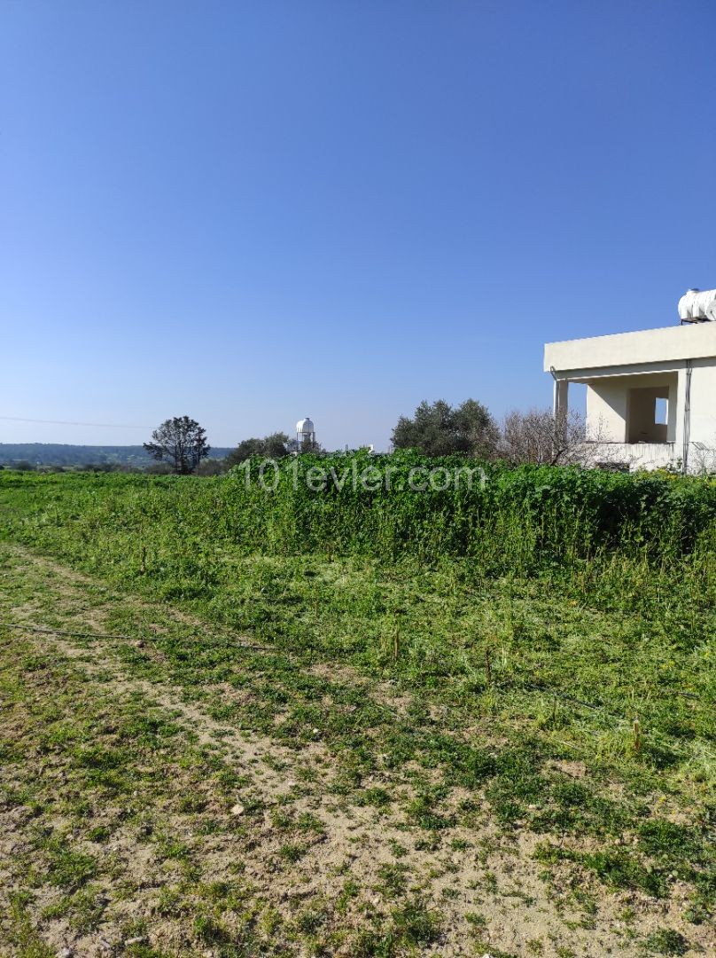 Villa land on the hillside with road, water and electricity ** 