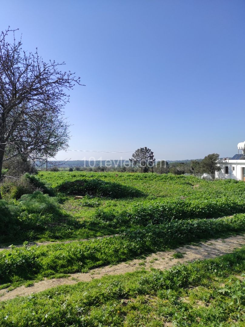 Villa Land mit Wasser Strom auf dem Hügel ** 