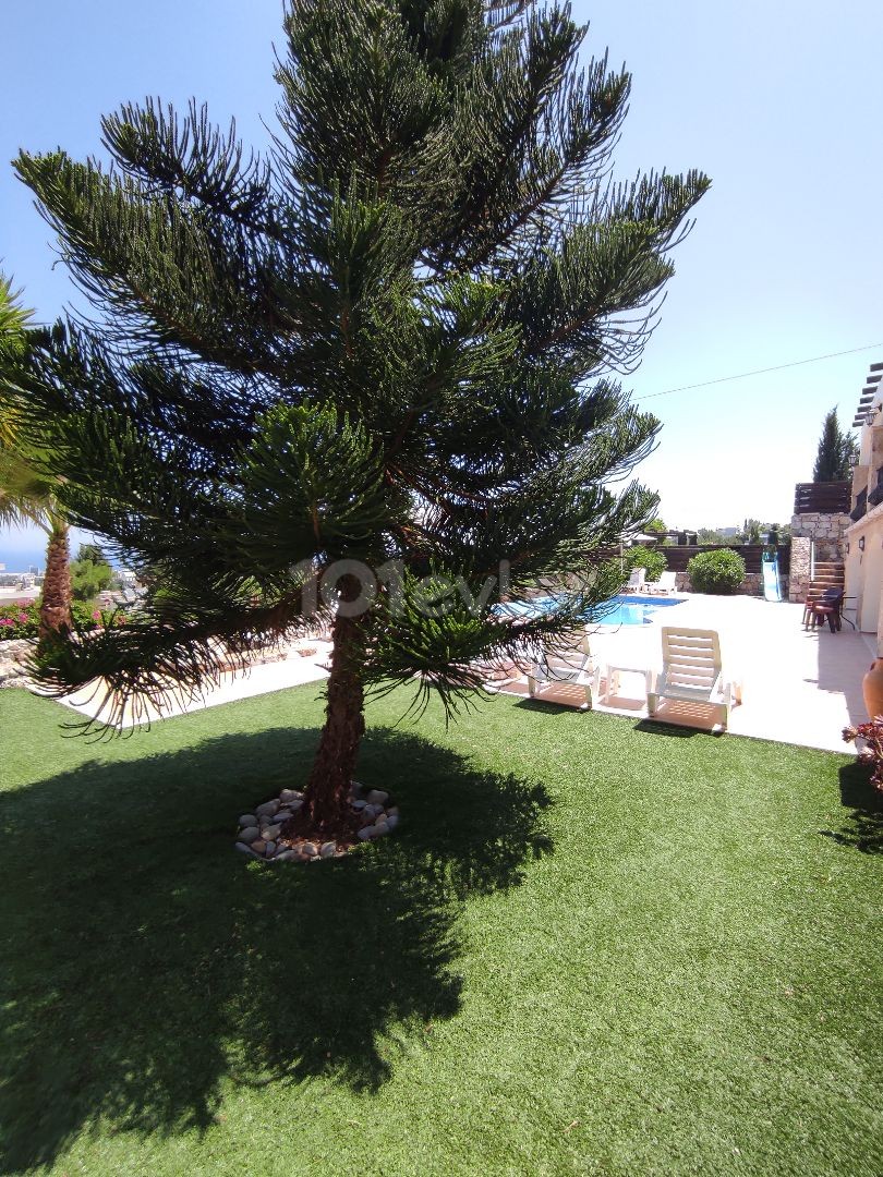 A Fully Furnished Villa Made in Turkish That Cannot Be Interrupted in an Olive Grove ** 