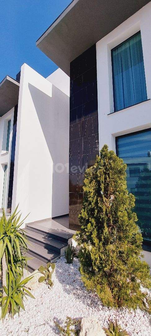 Fully Furnished Villa Near Main Road