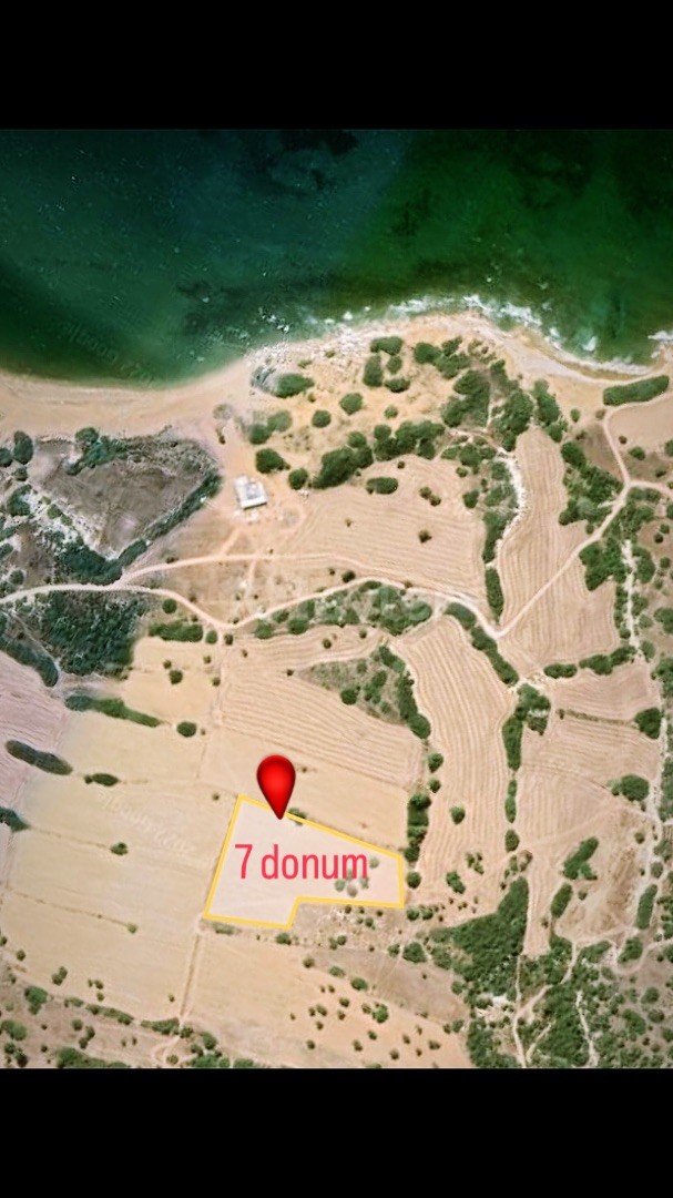 6 Donum 300m From The Sea 