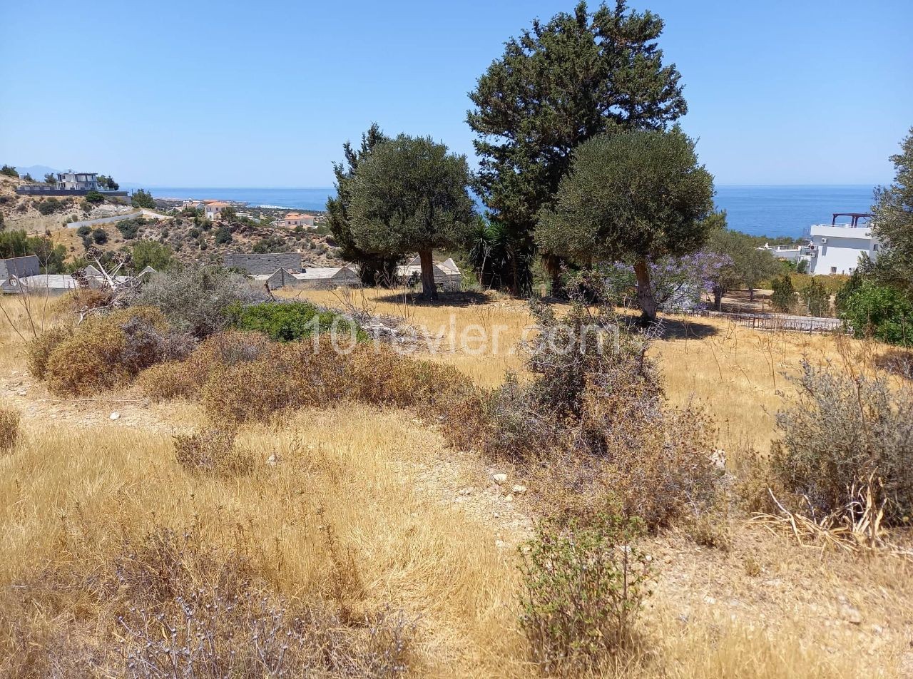 Sea view plot in Esentepe -  Sea , mountain & hills views yet near to village ,  restaurants & ammenities