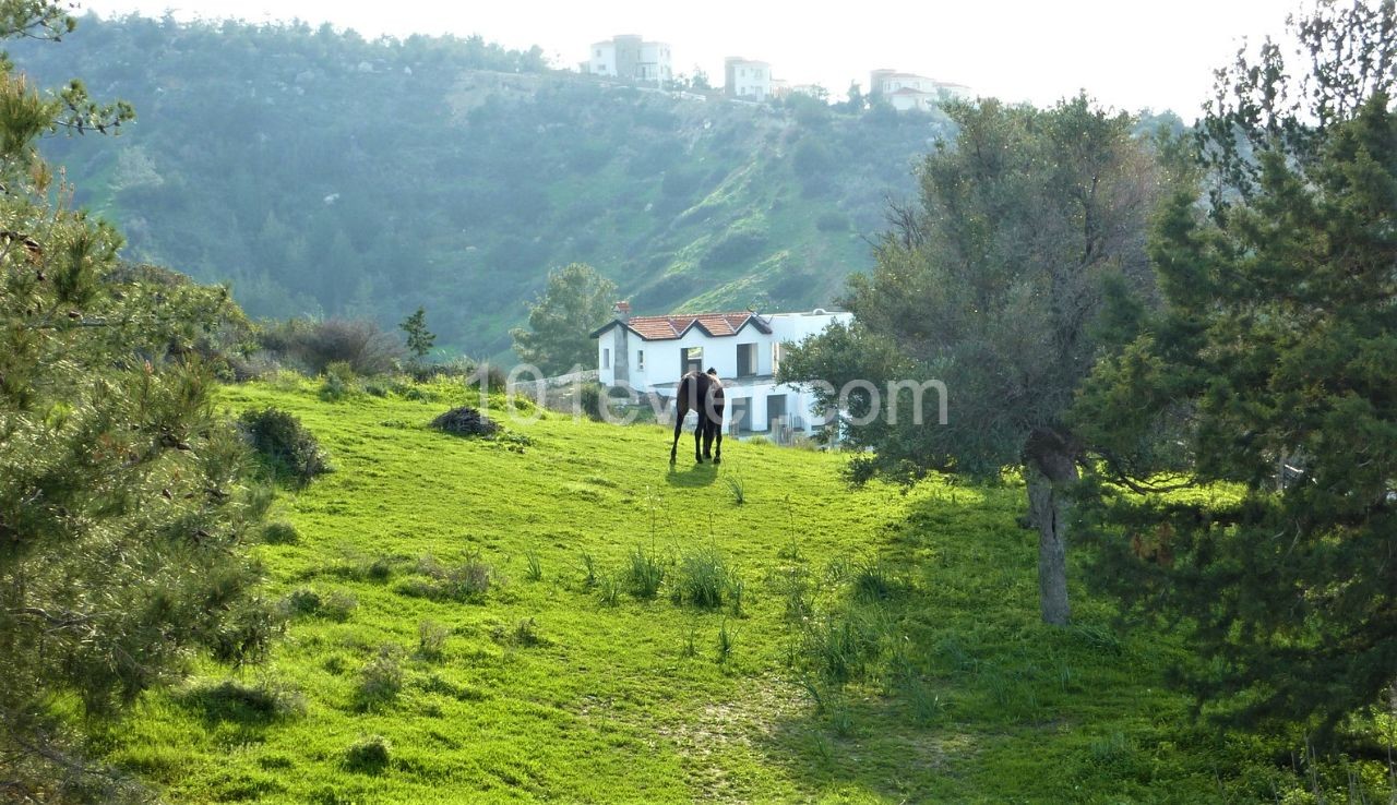 Sea view plot in Esentepe -  Sea , mountain & hills views yet near to village ,  restaurants & ammenities