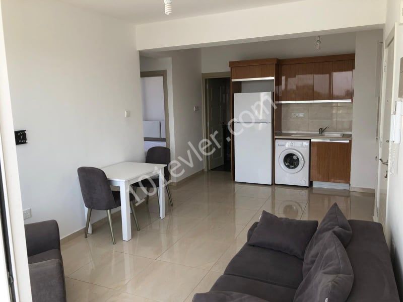 2+1 apartments for sale in Magusa ** 