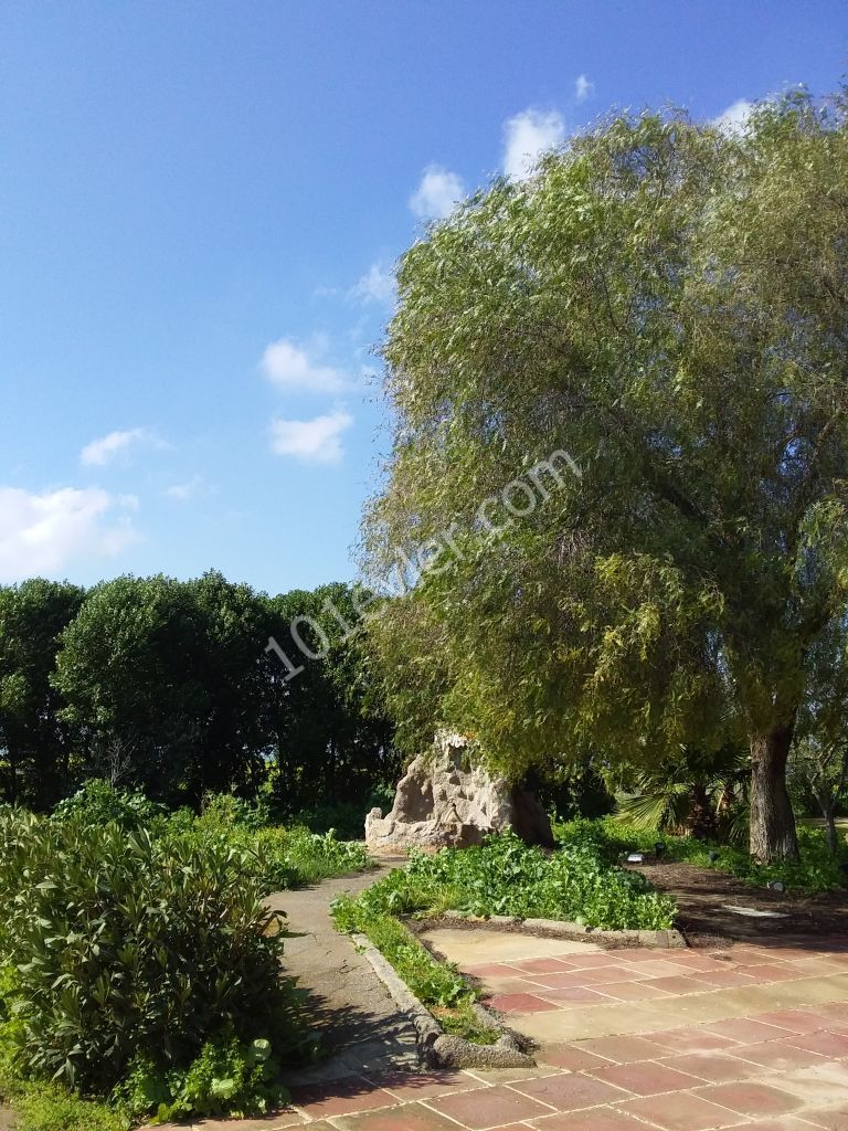 کسب و کار برای اجاره in Mutluyaka, فاماگوستا