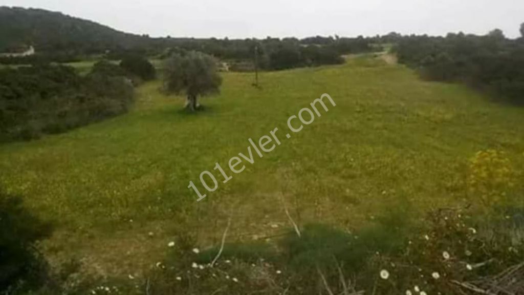 Residential Zoned Plot For Sale in Dipkarpaz, Iskele