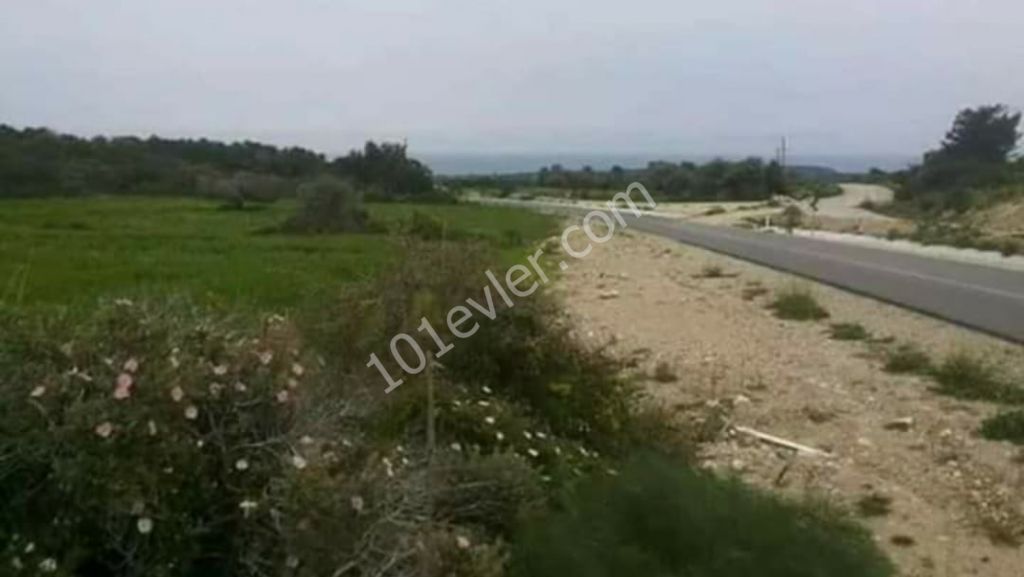 Residential Zoned Plot For Sale in Dipkarpaz, Iskele