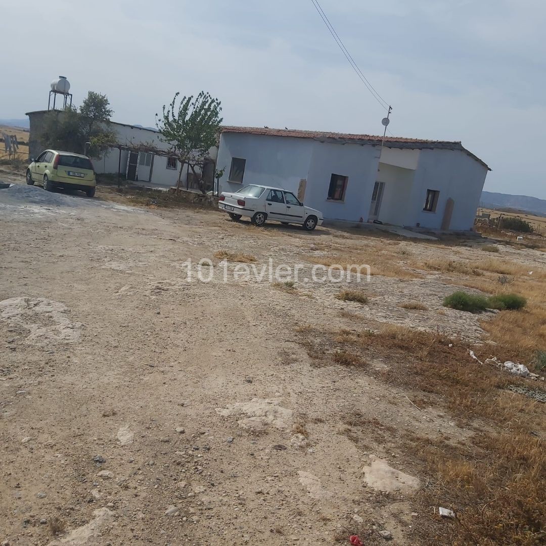 DETACHED HOUSES FOR SALE IN FAMAGUSTA ALANIÇI ** 