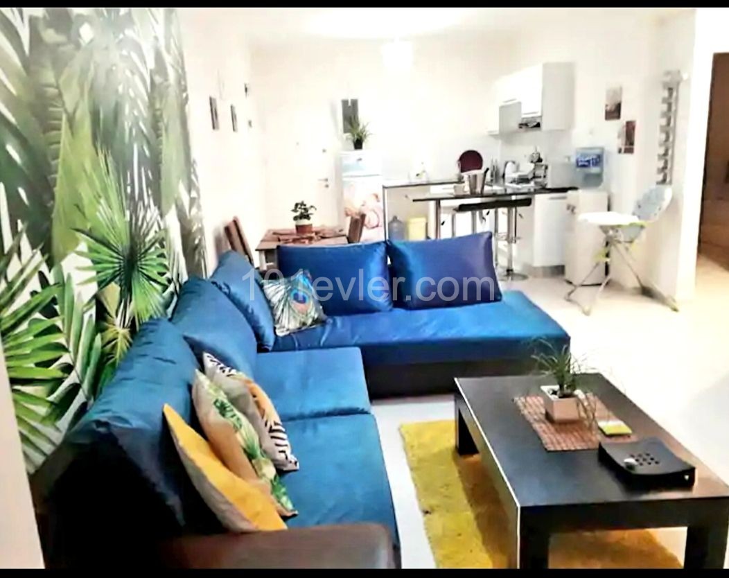 APARTMENT FOR RENT IN ISKELE CESEAR MONTHLY OR DAILY ( 500 TL ) ** 