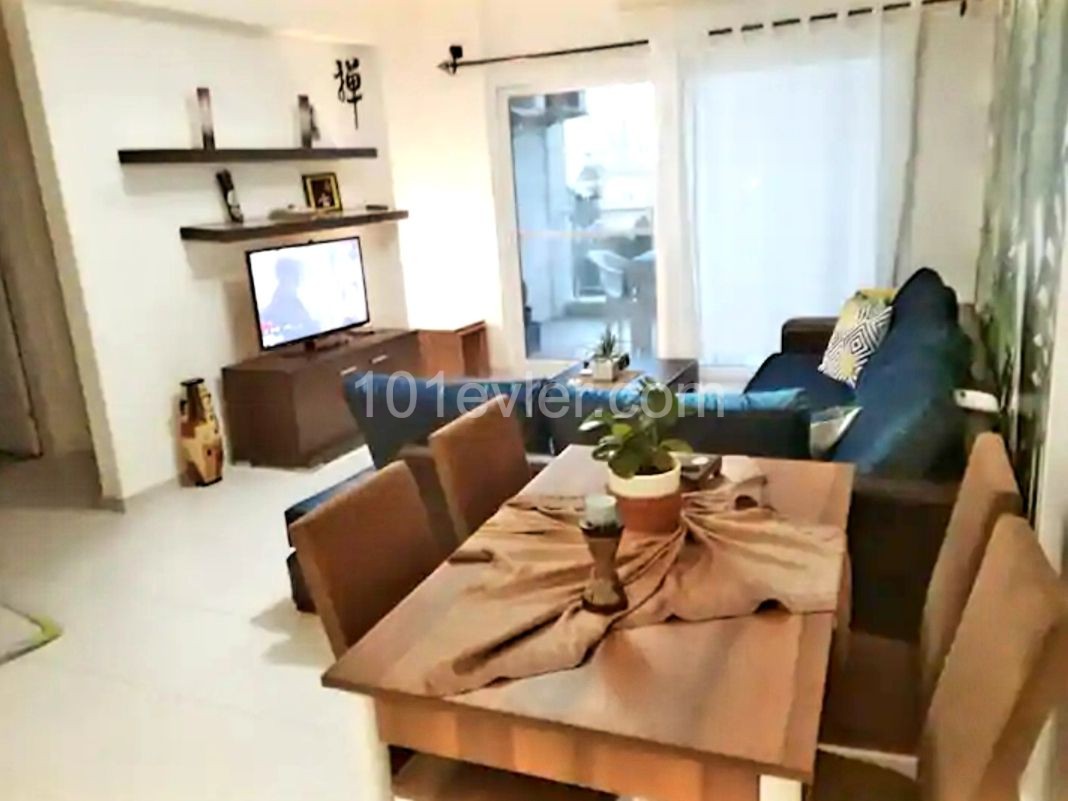 APARTMENT FOR RENT IN ISKELE CESEAR MONTHLY OR DAILY ( 500 TL ) ** 