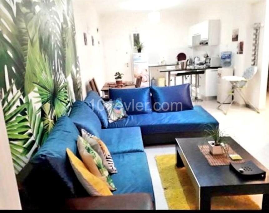 APARTMENT FOR RENT IN ISKELE CESEAR MONTHLY OR DAILY ( 500 TL ) ** 