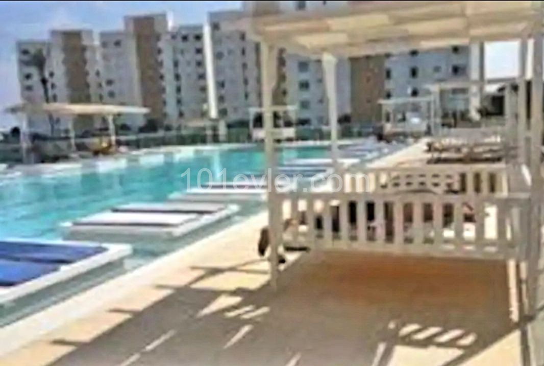 APARTMENT FOR RENT IN ISKELE CESEAR MONTHLY OR DAILY ( 500 TL ) ** 