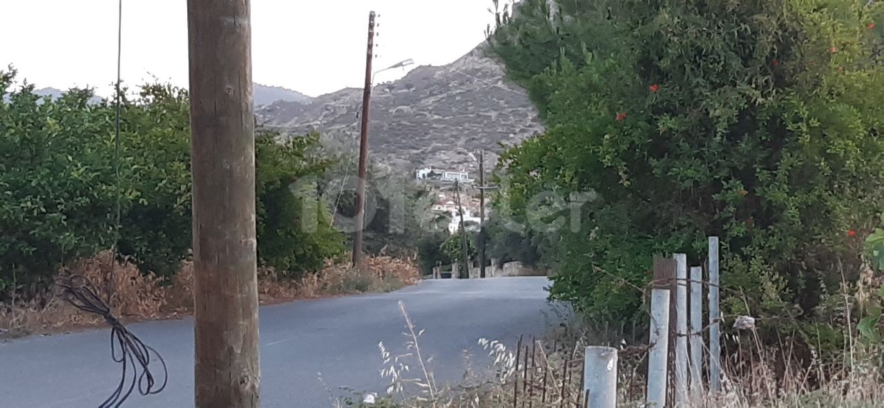 5 Decares OF LAND IN BAĞLIKÖY FOR SALE FROM THE OWNER, KING'S GARDEN QUALIFIED. MOUNTAIN AND SEA VIEWS. IT IS LOCATED 1 KM FROM THE BEACH AND LEFKE UNIVERSITY. MAKE A HOUSE, SIT DOWN, MAKE A DORMITORY, RENT IT. THERE IS WATER, ROADS, ELECTRICITY. 27000 STG ACRES. TEL: 05428601595 ** 