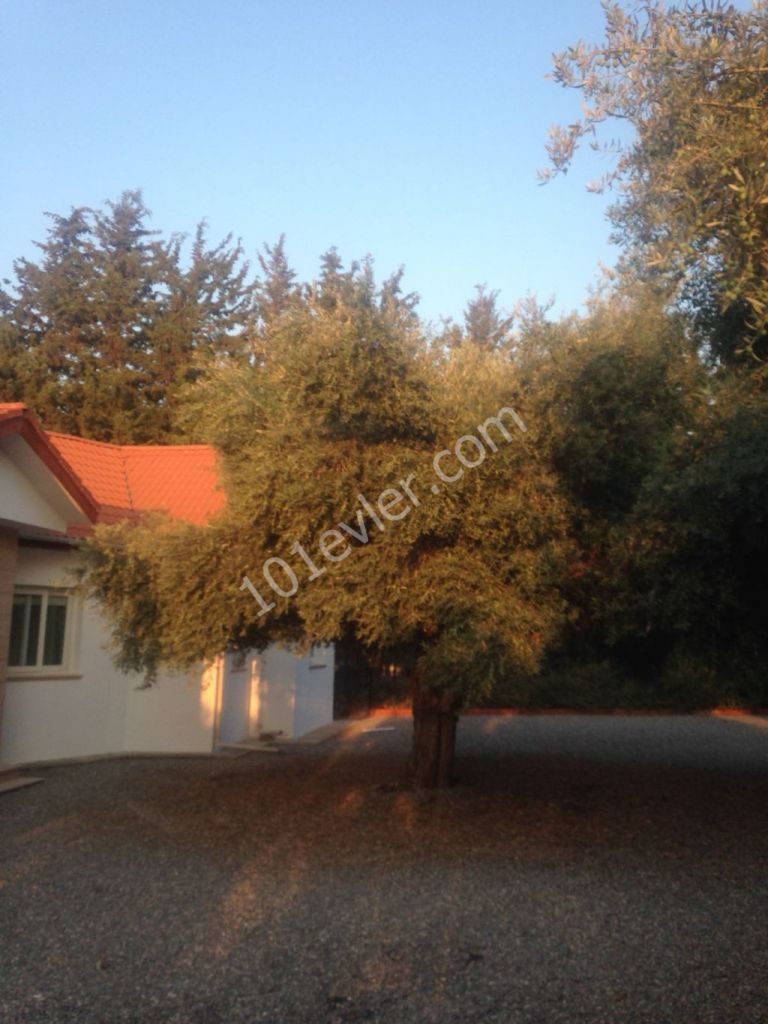 GİRNE ÇATALKÖYDE   BUNGALOW  MERKEZİ KONUMDA