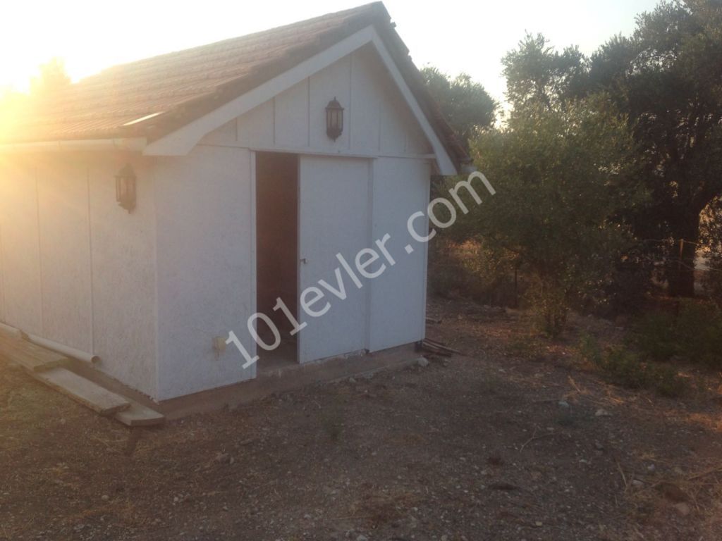 Bungalow For Sale in Çatalköy, Kyrenia