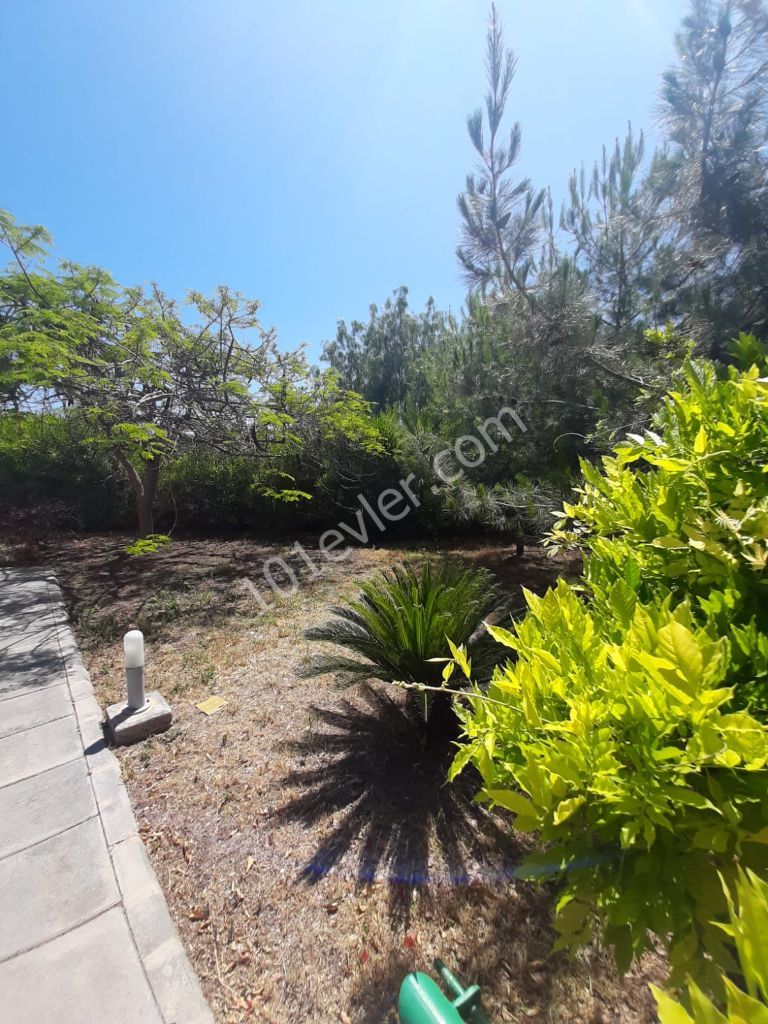 Villa To Rent in Ozanköy, Kyrenia