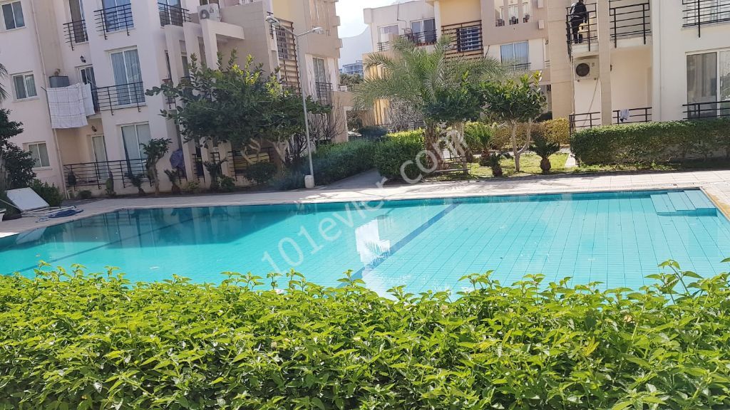 Flat To Rent in Aşağı Girne, Kyrenia