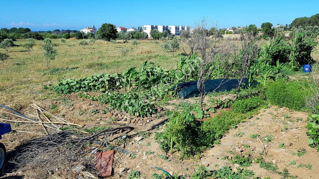 Residential Zoned Plot For Sale in Karşıyaka, Kyrenia