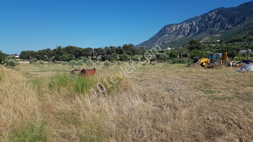 Girne Karşıyaka'da 7 Dönüm Ve 14 Dönüm Satılık Arsa 385000 STG