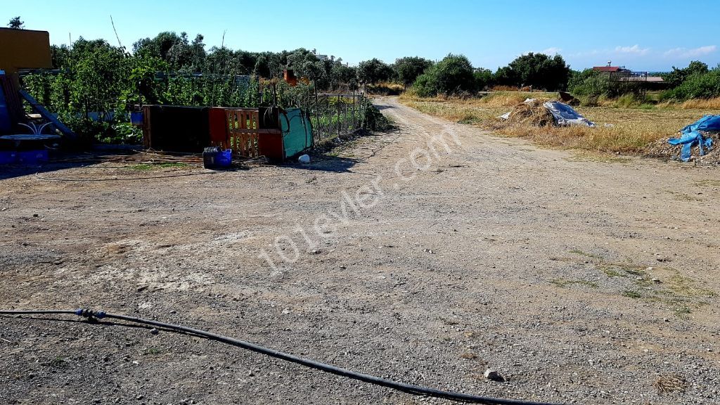 منطقه مسکونی برای فروش in Karşıyaka, گیرنه